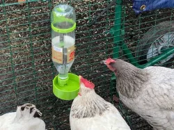 Chicken Water Dispenser with Thread for PET Bottles