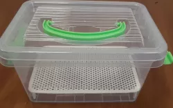 Container insert for growing microgreens.