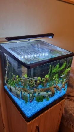 Cube Fish Tank Lid