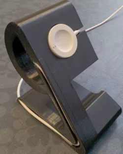 Fossil Watch Stand