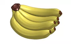 Going Bananas!