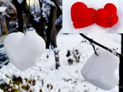 Hart snowball maker