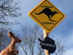 Kangaroo Crossing Sign