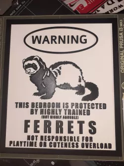 LOL - Warning Ferrets Kid Friendly Version