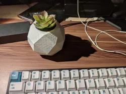 Low Poly Flower Pot