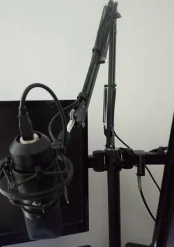 Monitor Mount & Microphone / Lamp Adapter