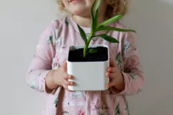 Simple Planter
