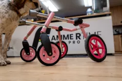 Walkin Pets Dog Wheel Chair Caster for Larger Wheels