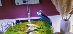 Aqua Cooler Termo Control