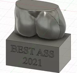 Best Ass Award