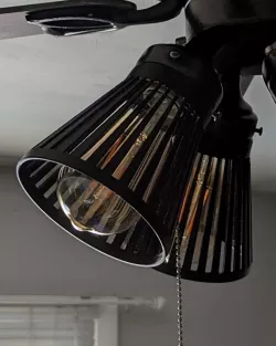 Ceiling Fan Bulb Shade