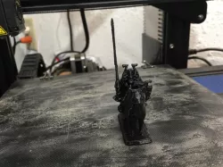 Chaos Cat Rider