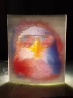 Eagle Color Lithophane