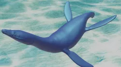 Rhomaleosaurus pliosaur statue