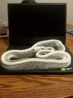 Snake Skeleton