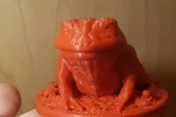 Toad