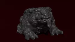 Toad