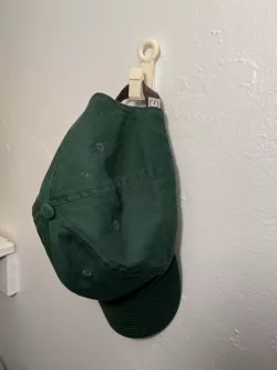 Wall Fish Hook