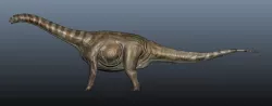 Apatosaurus 3D model