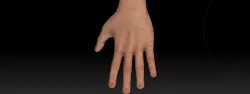 Arm and Hands Game-Ready with 4K maps Low-poly  3D model