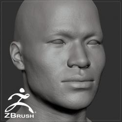 Celine basemesh with 7 1/2 heads proportion - 3D model by Auriston Pacheco  (@Auriston.Pacheco) [14ca69d]