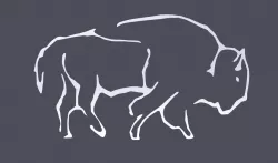 Buffalo 