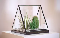 Cactus in a glass vase HG2 3D model