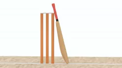Cricket Crease Bat Stump And Bail Low-poly  3D model