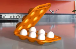 Egg Tray
