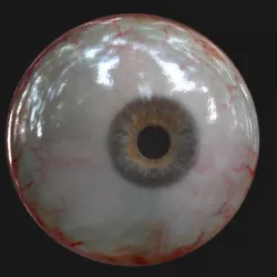 Eye model 3D model