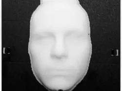 Face Scan