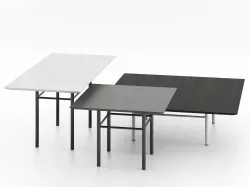 Fard 3D model