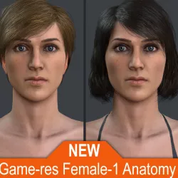 Female 1 - Anatomy - Hair 1 Low-poly  3D model