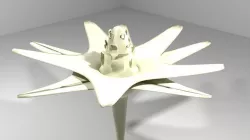 Flower - Cape 3D model