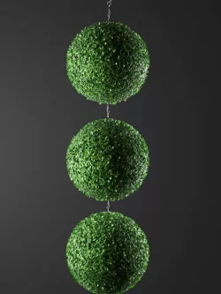 Indoor Hanging Plants 3D model