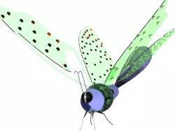 Magical creature 