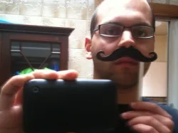 Mustache on a stick