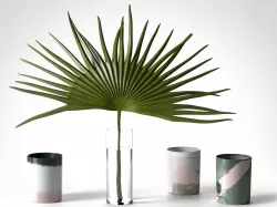 Palm Leaf in Glass Vase and Candles 3D model
