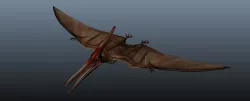 Pteranodon 3D model