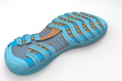 Shoe