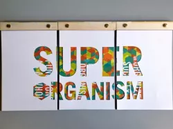 Superorganism Book