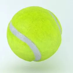 TENNIS BALL  Low-poly  3D model