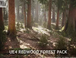 UE4 - REDWOOD FOREST PACK Low-poly  3D model