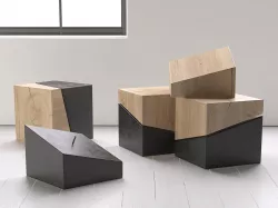 Vario 3D model