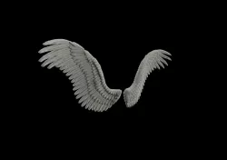 Wings 3D model