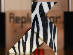 Zebra Paper Bird