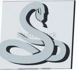 3D/2D Snake