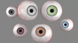 3D eyes with 6 varing eye colours 3D model