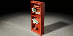 Adjustable Shelf Bookcase
