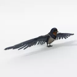 Barn Swallow Low-poly  3D model